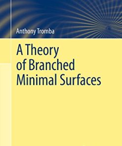A Theory of Branched Minimal Surfaces