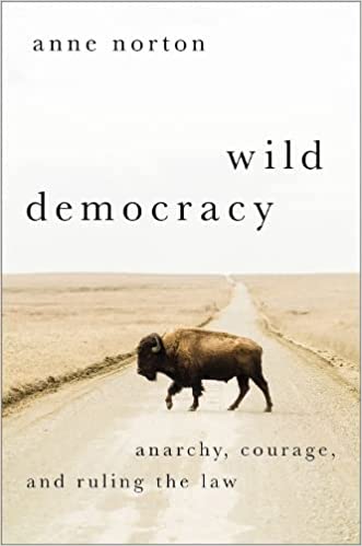 Wild Democracy Anarchy Courage and Ruling the Law