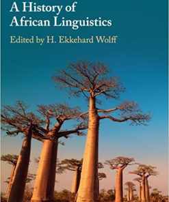 A History of African Linguistics