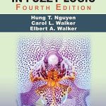 A First Course in Fuzzy Logic