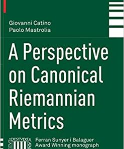 A Perspective on Canonical Riemannian Metrics