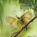 A Visual Celebration of Borneo's Wildlife