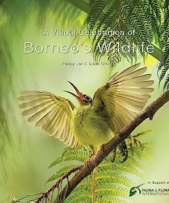 A Visual Celebration of Borneo's Wildlife