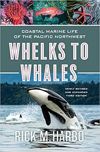 Whelks to Whales Coastal Marine Life of the Pacific Northwest