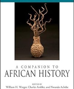 A Companion to African History