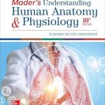 ISE Mader's Understanding Human Anatomy & Physiology
