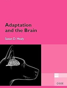 Adaptation and the Brain