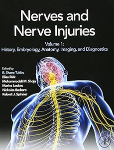 Nerves and Nerve Injuries Volume 1
