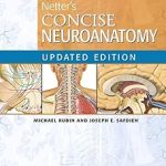 Netter's Concise Neuroanatomy Updated Edition