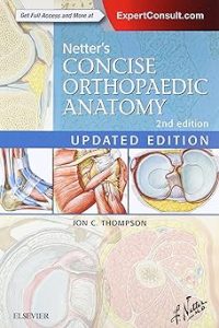 Netter's Concise Orthopaedic Anatomy