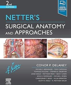 Netter's Surgical Anatomy and Approaches