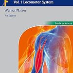 Thieme Color Atlas of Human Anatomy