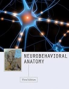 Neurobehavioral Anatomy