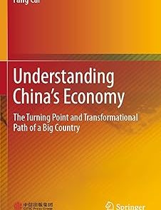 Understanding China's Economy