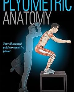 Plyometric Anatomy