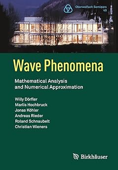 Wave Phenomena Mathematical Analysis and Numerical Approximation