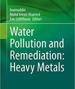 Water Pollution and Remediation Photocatalysis