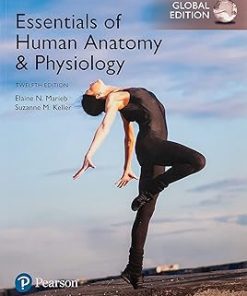Pearson Essentials of Human Anatomy & Physiology Global Edition