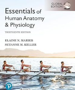 Essentials of Human Anatomy & Physiology Global Edition