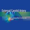 External Carotid Artery Imaging Anatomy Atlas for Endovascular Treatment