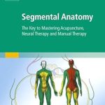Segmental Anatomy