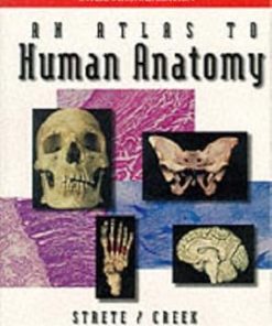McGraw-Hill Education An Atlas To Human Anatomy by Strete/Creek