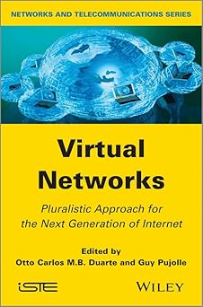 Virtual Networks Pluralistic Approach for the Next Generation of Internet