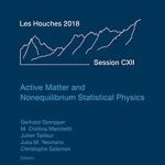 Active Matter and Nonequilibrium Statistical Physics
