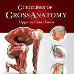 Guidelines of Gross Anatomy