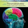 LWW High-Yield Neuroanatomy