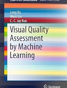 Visual Quality Assessment by Machine Learning