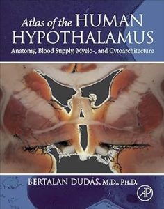 Atlas of the Human Hypothalamus