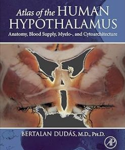 Atlas of the Human Hypothalamus