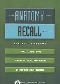 Anatomy Recall