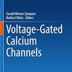 Voltage-Gated Calcium Channels