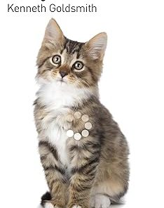 Wasting Time on the Internet