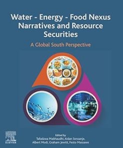 Water - Energy - Food Nexus Narratives and Resource Securities A Global South Perspective