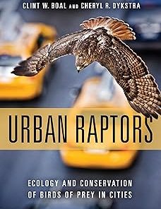 Urban Raptors Ecology and Conservation of Birds of Prey in Cities