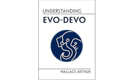 Understanding Evo-Devo