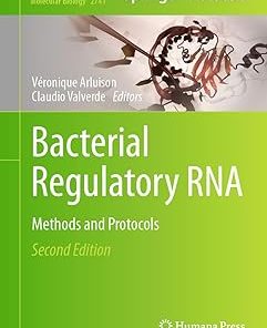 Bacterial Regulatory RNA Methods and Protocols
