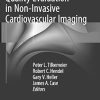 Quality Evaluation in Non-Invasive Cardiovascular Imaging