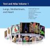 Imaging Anatomy Text and Atlas Volume 1