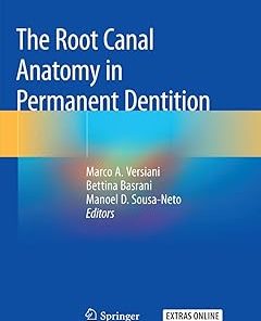 The Root Canal Anatomy in Permanent Dentition