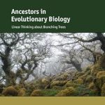 Ancestors in Evolutionary Biology