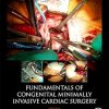 Fundamentals of Congenital Minimally Invasive Cardiac Surgery