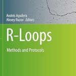 R-Loops Methods and Protocols
