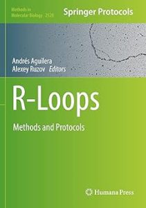 R-Loops Methods and Protocols