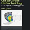 Understanding Clinical Cardiac Electrophysiology