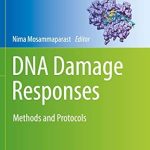 DNA Damage Responses Methods and Protocols