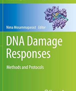 DNA Damage Responses Methods and Protocols